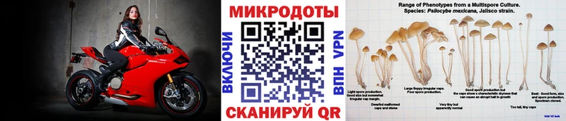 Галлюциногенные грибы Cubensis  купить наркотик  Чишмы 