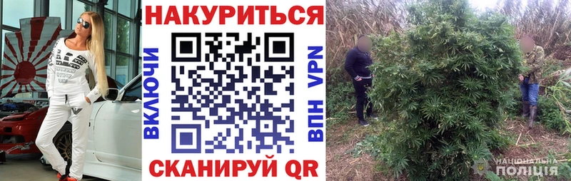 Канабис сатива  KRAKEN зеркало  Чишмы 